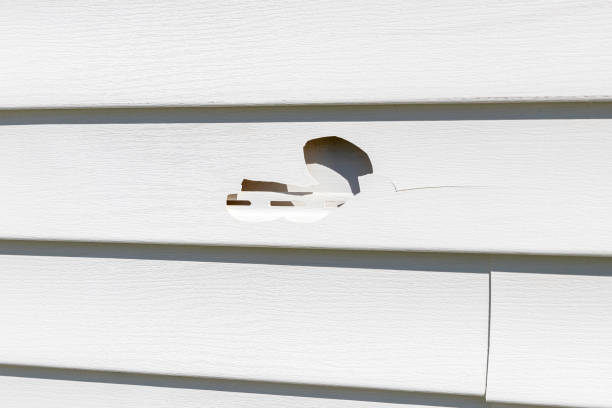 Property Management Cleanouts in Niverville, NY